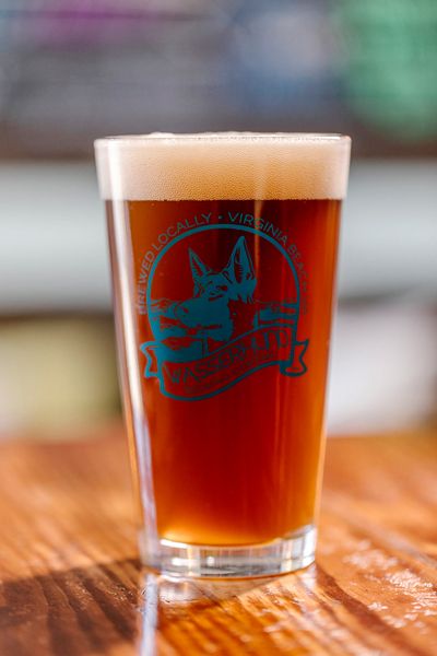 Orange Chocolate Lab Gose