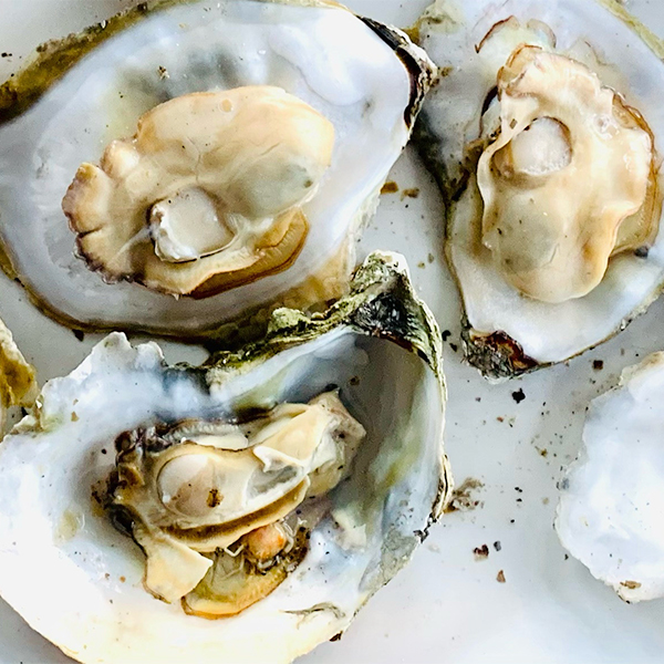 3-open-oysters-4622.jpg